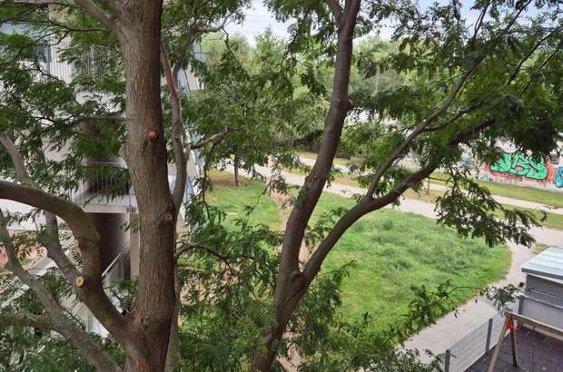 Mietwohnung in 1100 Wien (Bild 5)