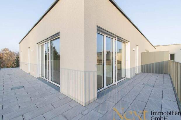 Terrassenwohnung mieten in 4020 Linz (Bild 2)