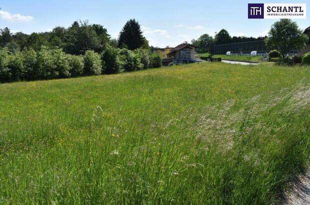 Grundstück kaufen in 8301 Laßnitzhöhe (Bild 4)