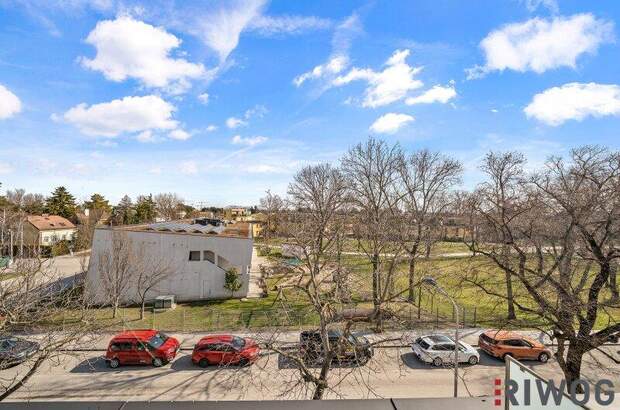 Terrassenwohnung kaufen in 1220 Wien (Bild 5)
