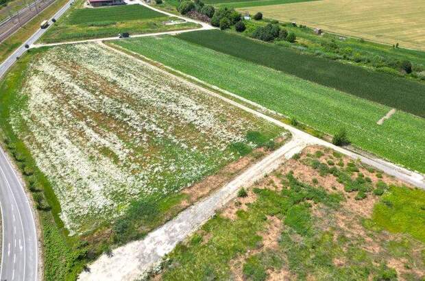 Grundstück kaufen in 3451 Michelhausen (Bild 2)