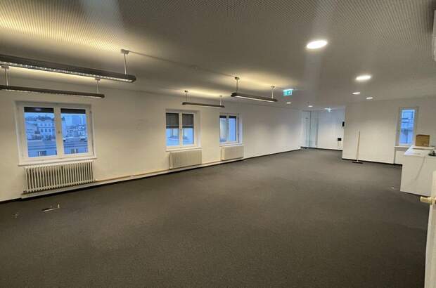 Gewerbeobjekt mieten in 1030 Wien (Bild 3)