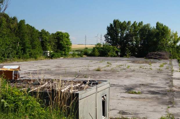 Immobilie mieten in 2405 Bad Deutsch (Bild 2)