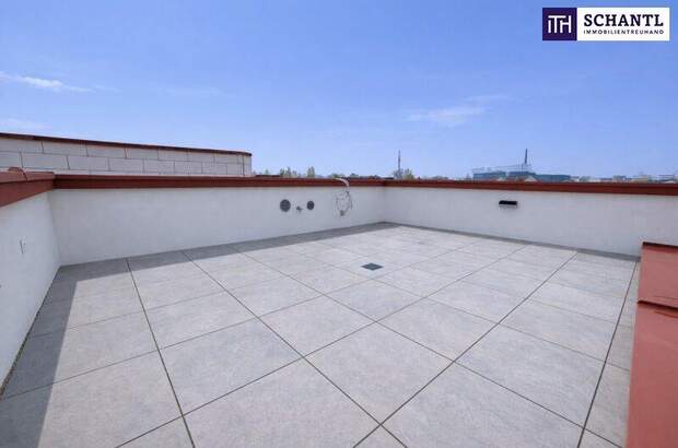 Terrassenwohnung kaufen in 2514 Traiskirchen (Bild 1)