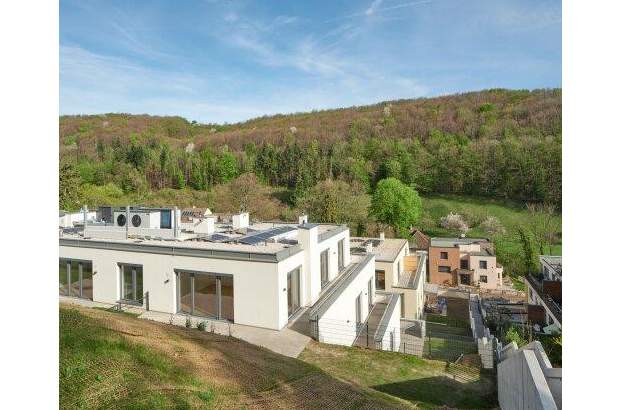 Terrassenwohnung kaufen in 2391 Kaltenleutgeben (Bild 2)