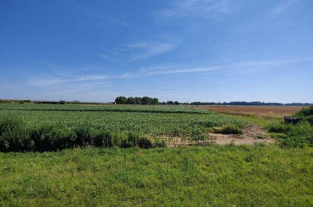 Gewerbeobjekt kaufen in 9231 Beltinci (Bild 2)