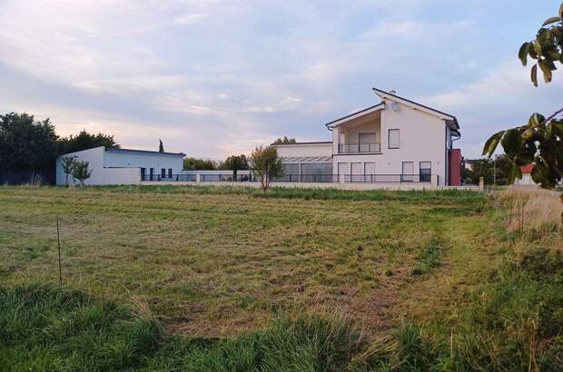 Grundstück kaufen in 7141 Podersdorf (Bild 4)