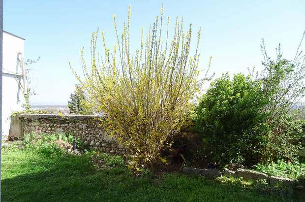 Haus kaufen in 4470 Enns (Bild 4)