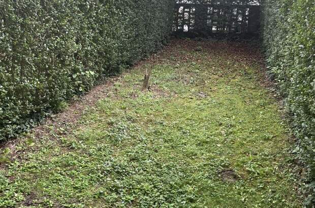 Wohnung mieten in 8020 Graz (Bild 5)