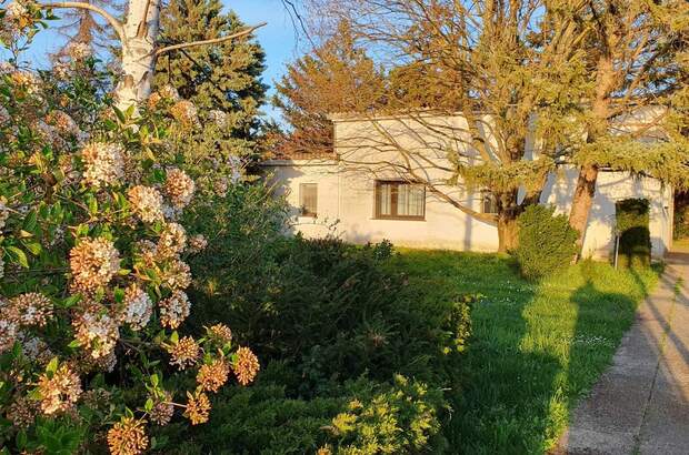 Einfamilienhaus kaufen in 1220 Wien (Bild 5)