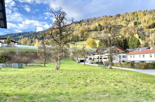 Grundstück kaufen in 8962 Pruggern (Bild 1)