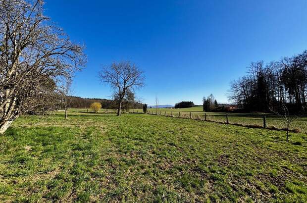 Grundstück kaufen in 5110 Oberndorf (Bild 5)