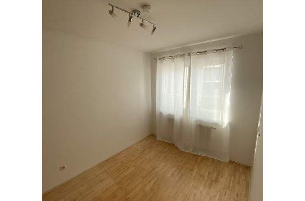Terrassenwohnung mieten in 4225 Luftenberg (Bild 5)