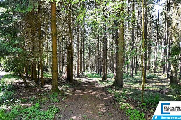 Gewerbeobjekt kaufen in 4761 Enzenkirchen (Bild 2)