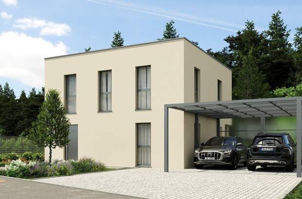 Haus kaufen in 4223 Ruhstetten (Bild 1)