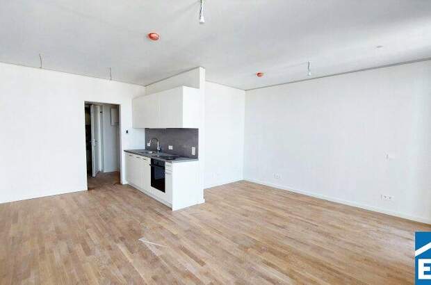 Terrassenwohnung mieten in 1220 Wien (Bild 2)