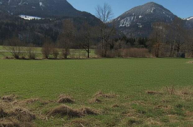 Grundstück kaufen in 9771 Berg (Bild 4)