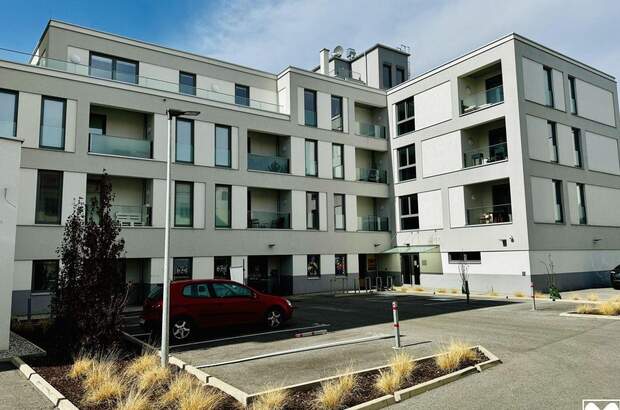 Anlageobjekt kaufen in 2700 Wiener Neustadt (Bild 2)