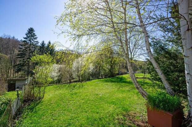 Grundstück kaufen in 3004 Ried (Bild 1)