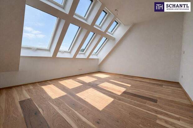 Terrassenwohnung kaufen in 2514 Traiskirchen (Bild 5)