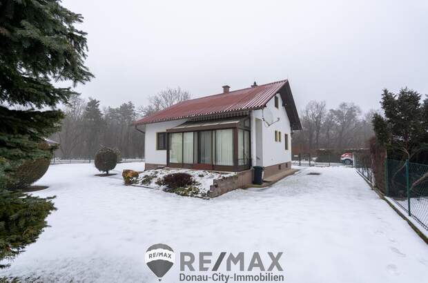 Einfamilienhaus kaufen in 2821 Lanzenkirchen (Bild 5)