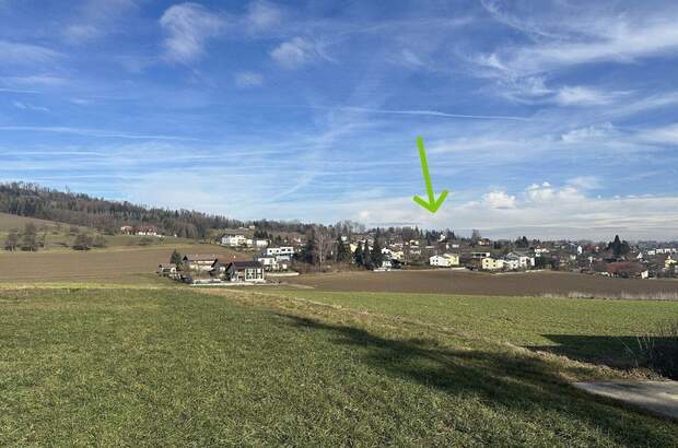 Grundstück kaufen in 4060 Bergham (Bild 5)