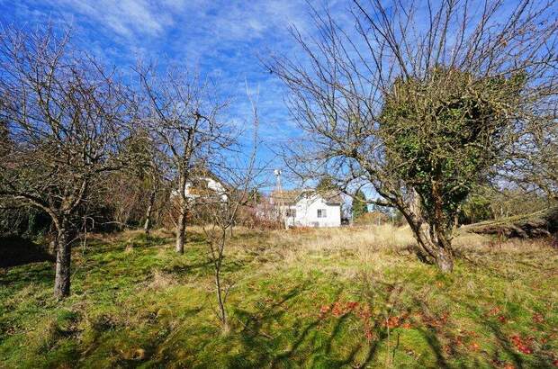 Grundstück kaufen in 3001 Mauerbach (Bild 2)