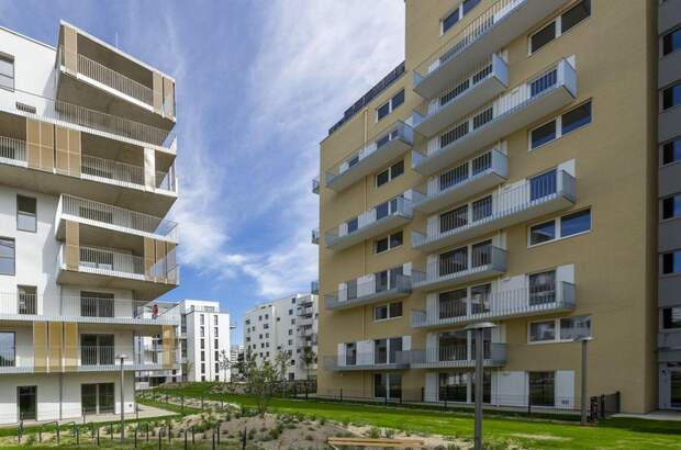 Immobilie mieten in 1230 Wien (Bild 4)