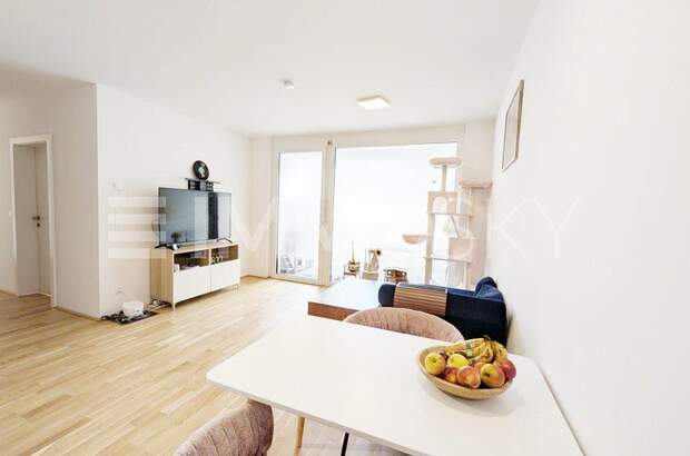 Terrassenwohnung kaufen in 1210 Wien (Bild 3)