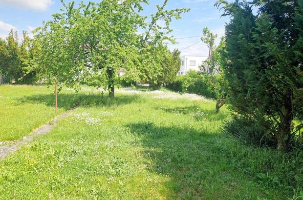 Haus mit Garten kaufen in 4030 Linz (Bild 1)