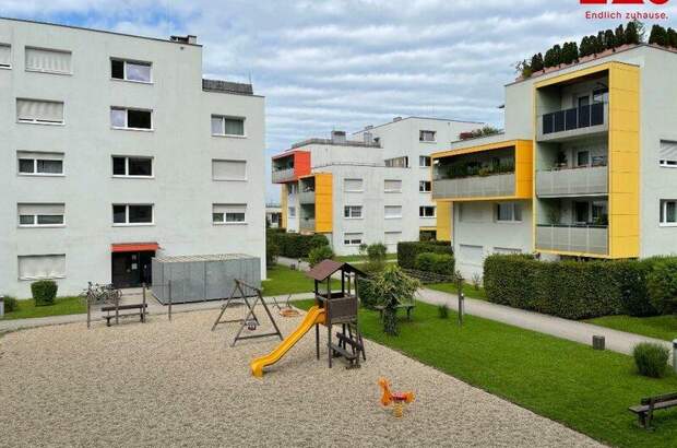 Terrassenwohnung mieten in 4221 Steyregg (Bild 1)