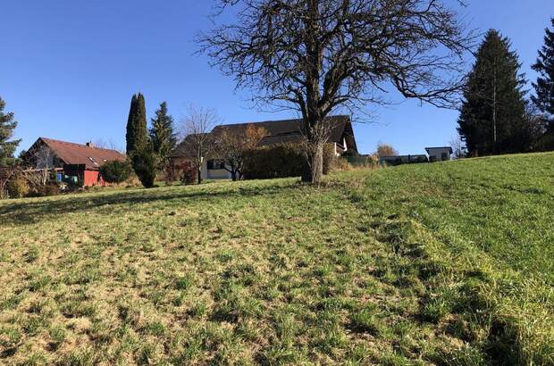 Grundstück kaufen in 8045 Weinitzen (Bild 3)