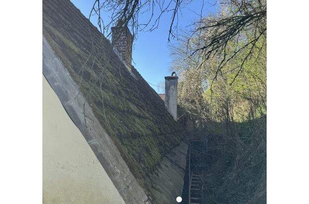 Haus kaufen in 4460 Losenstein (Bild 3)