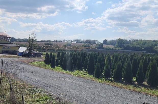 Gewerbeobjekt kaufen in 9771 Balogunyom (Bild 5)