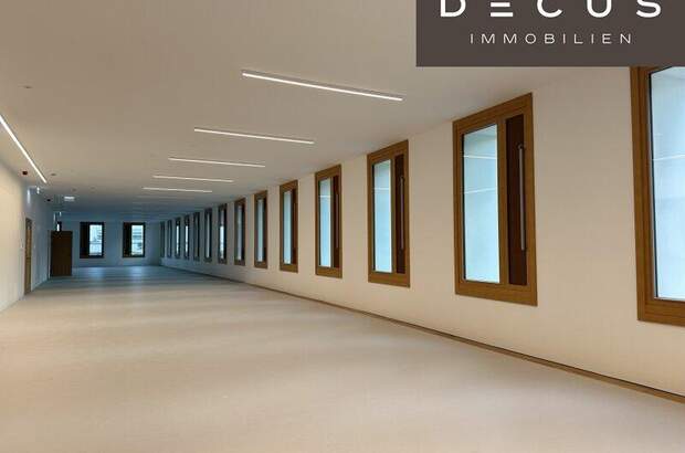 Büro / Praxis mieten in 1220 Wien (Bild 3)