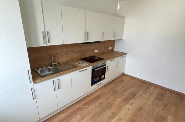 Altbauwohnung mieten in 8020 Graz (Bild 2)