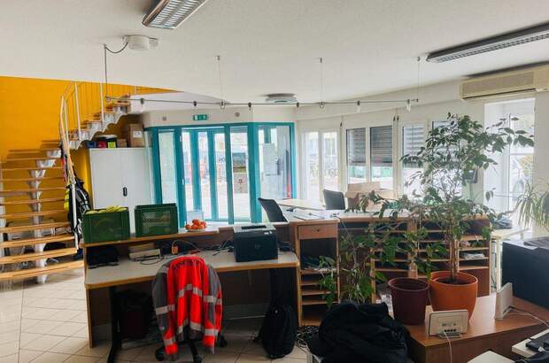 Gewerbeobjekt mieten in 7122 Gols (Bild 4)