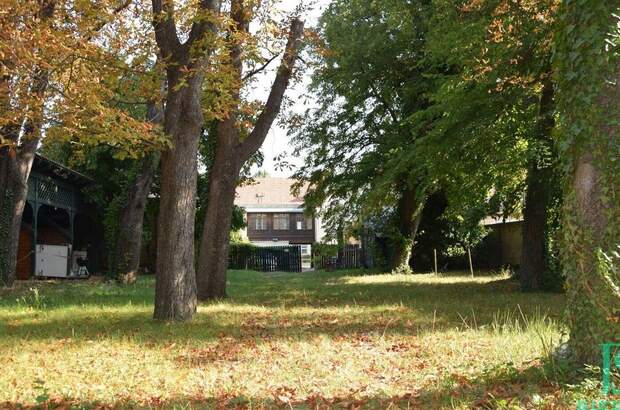 Grundstück kaufen in 1230 Wien (Bild 5)