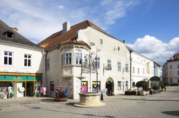 Einzelhandel mieten in 2620 Neunkirchen (Bild 1)