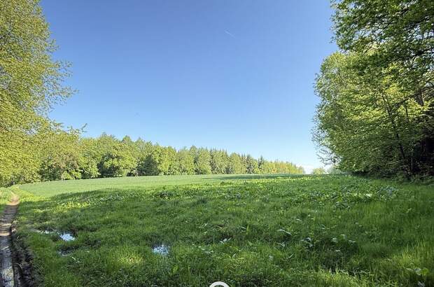 Gewerbeobjekt kaufen in 4076 St. Marienkirchen (Bild 3)