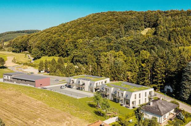 Mietwohnung in 3062 Kirchstetten (Bild 4)