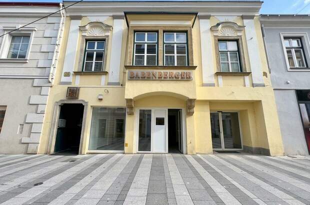 Wohnanlage kaufen in 2700 Wr. Neustadt (Bild 1)
