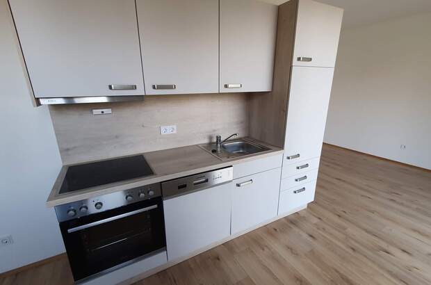 Terrassenwohnung mieten in 8461 Ehrenhausen (Bild 3)