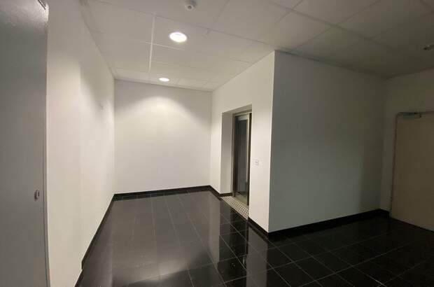 Gewerbeobjekt mieten in 1230 Wien (Bild 5)