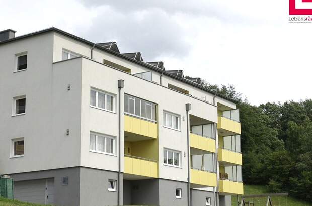 Wohnung mieten in 4364 St. Thomas (Bild 4)