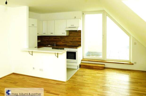 Terrassenwohnung kaufen in 1190 Wien (Bild 1)