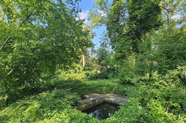 Haus mit Garten kaufen in 4611 Hundsham (Bild 5)