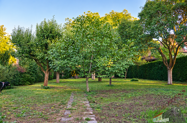 Grundstück kaufen in 2041 Wullersdorf (Bild 1)