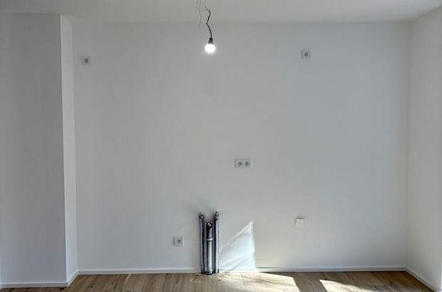 Terrassenwohnung mieten in 1190 Wien (Bild 3)