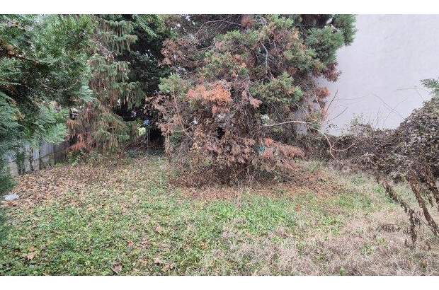 Grundstück kaufen in 1210 Wien (Bild 4)